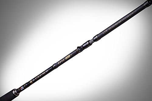 Amazon | AbuGarcia (アブガルシア) 黒船 タチウオ KTUC-180M 先調子7