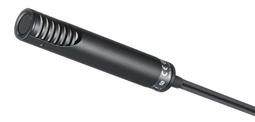 Amazon.com: Sony ECMMS2 Stereo Shotgun Condenser Microphone
