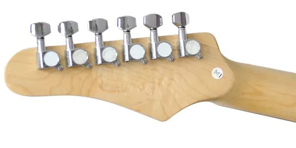 Amazon | PLAYTECH (プレイテック) エレキギター テレキャスタータイプ