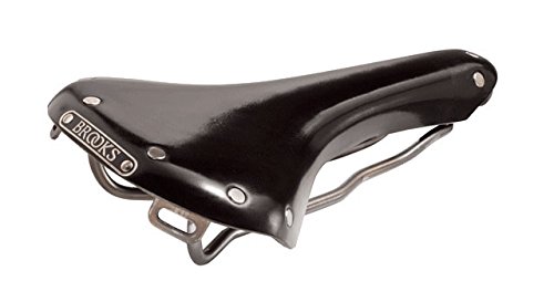 Amazon | BROOKS ブルックス B15 SWALLOW TITANIUM SADDLE スワロー