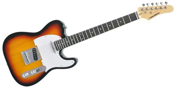 Amazon | PLAYTECH (プレイテック) エレキギター テレキャスタイプ