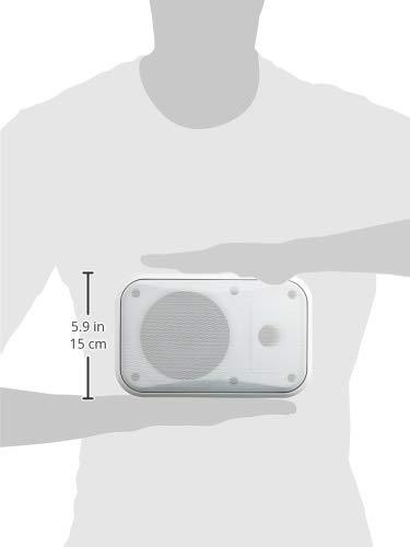 Amazon.co.jp: MASSIVE マッシブ 天吊形 120mmフルレンジ・バスレフ形