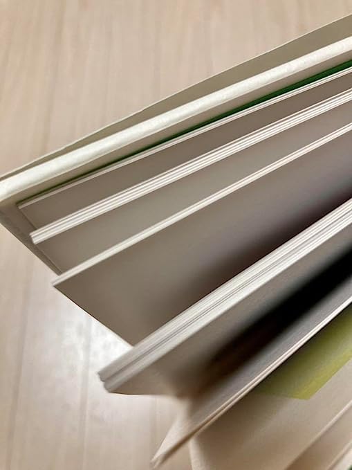 Amazon.co.jp: クリィミーマミmemories of magical world 高田明美画集