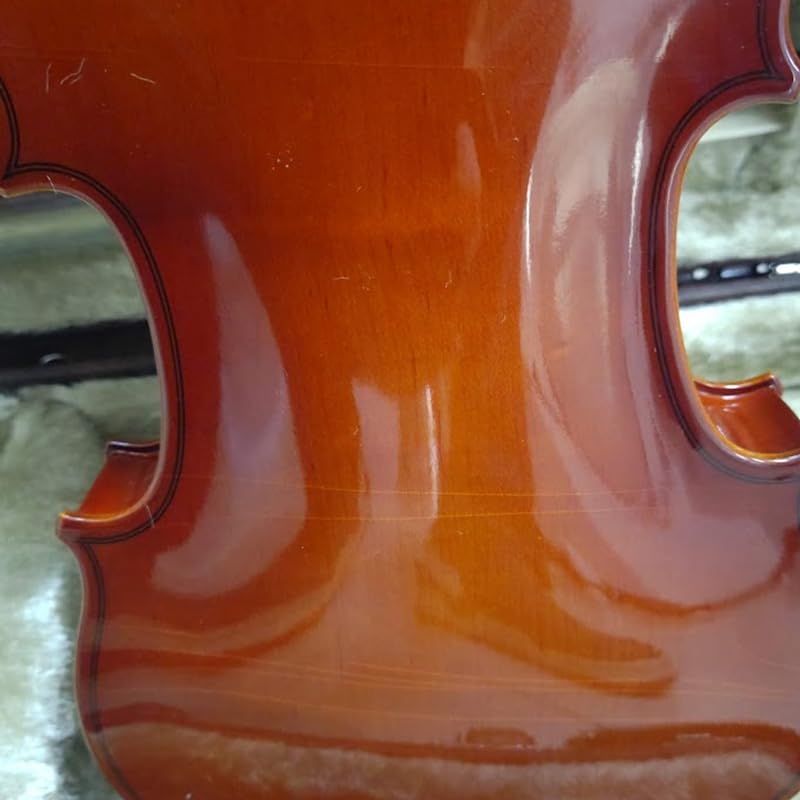 Amazon | スズキ アウトフィットバイオリン No.200 1/4 | バイオリン