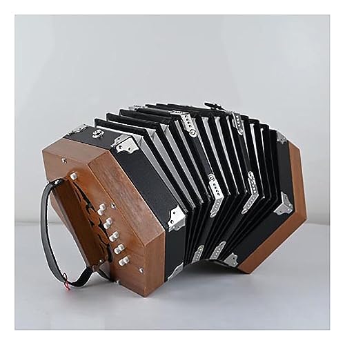 Amazon | 20キー 六角形アコーディオン 大人用 プロフェッショナル