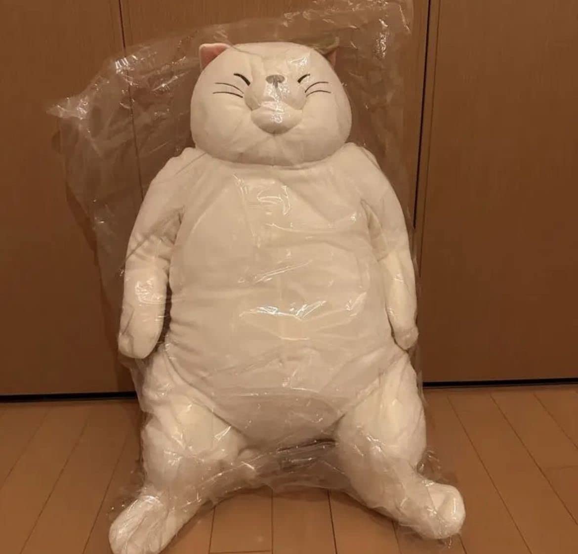 Amazon.co.jp: パーク限定！ 猫の恩返し ムタさん おっきいぬいぐるみ