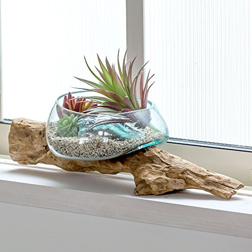 Amazon.co.jp: 【アジア工房】ガラスと流木のプランターオブジェ[12160