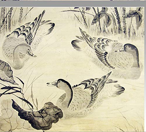 Amazon.co.jp: 中国美術☆白陽山人【陳淳 Chen Chun】ちんじゅん☆「鴨