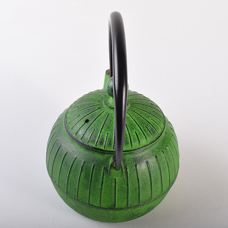 Amazon.co.jp: 煎茶道具 南部鉄器 盛栄堂造 カラー急須 若草色 C R7575