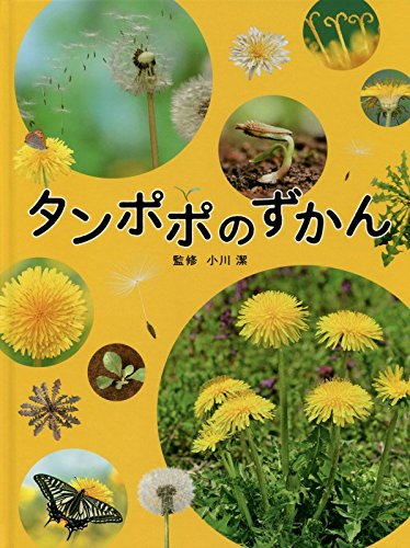 たんぽぽページ タンポポのずかん | 小川潔 |本 | 通販 | Amazon