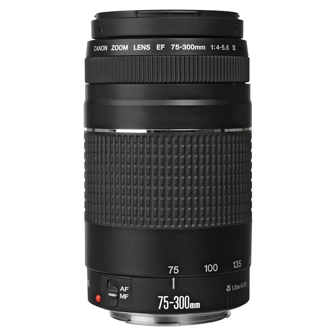 Amazon.com : Canon EF 75-300mm f/4-5.6 III Telephoto Zoom Lens for