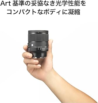 Amazon.co.jp: シグマ(Sigma) レンズ 24mm F1.4 DG DN Lマウント 単