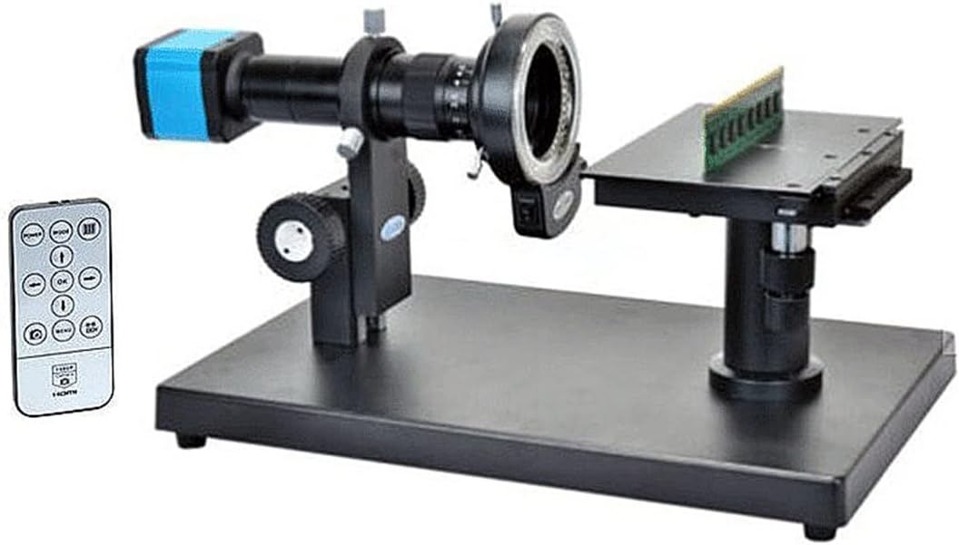 白石隆一 海老 【公式通販】