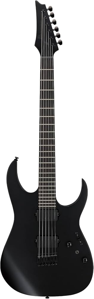 Amazon.com: Ibanez RGRTB621 Iron Label Electric Guitar - Black