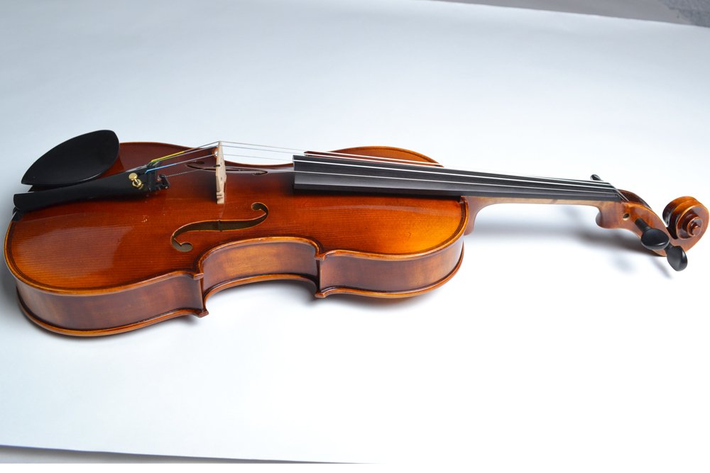 Amazon | GEWA Meister II バイオリン セット 4/4サイズ ケースカラー