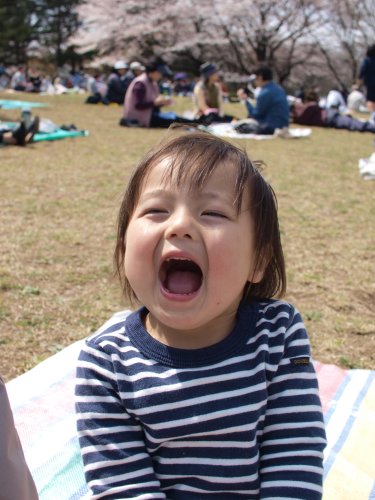 Amazon.co.jp: OLYMPUS 標準パンケーキレンズ ZUIKO DIGITAL 25mm F2.8