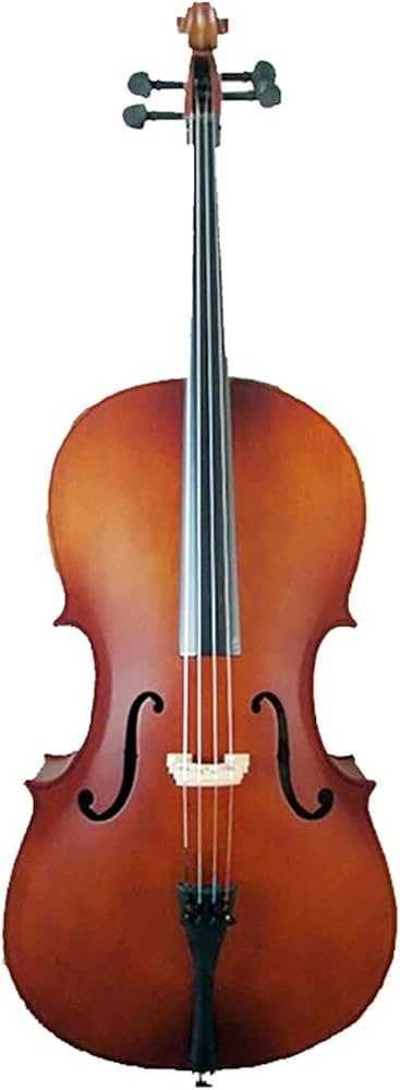 Amazon | Cecilioチェロ楽器-子供と大人のフルサイズチェロ、弓、弦