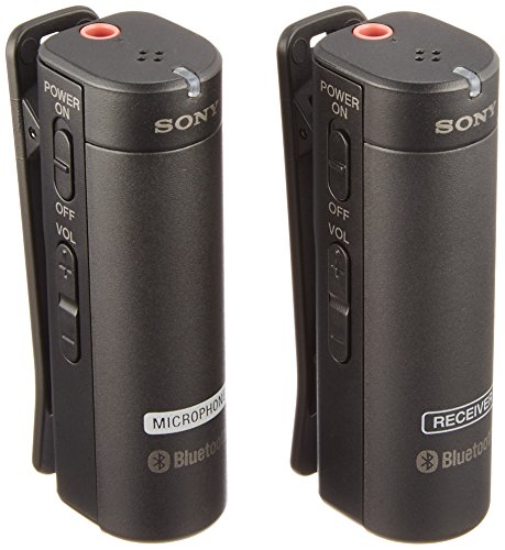 ソニー ワイヤレスマイクホン ECM-AW4 ECM-CS3 中古 ソニー ワイヤレス