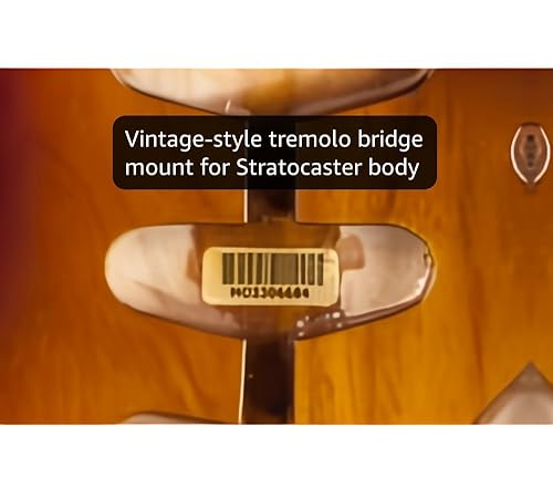 Amazon.com: Fender Alder Stratocaster Body, Vintage Bridge Routing