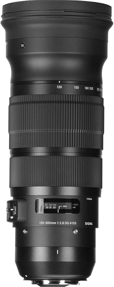 Amazon.com : Sigma 120-300mm F2.8 Sports DG APO OS HSM Lens for