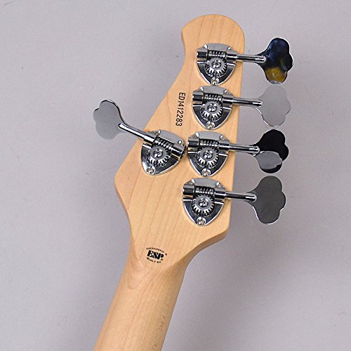 Amazon | EDWARDS E-Bardic STPI 5弦エレキベース/tetsuyaモデル