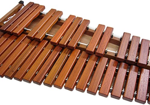 Amazon | コオロギ X32K ヨーロピアンデスクシロフォン 32鍵 | 木琴