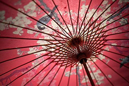 Amazon.co.jp: 【国内正規品】七工匠 7Artisans 単焦点レンズ 50mm F1