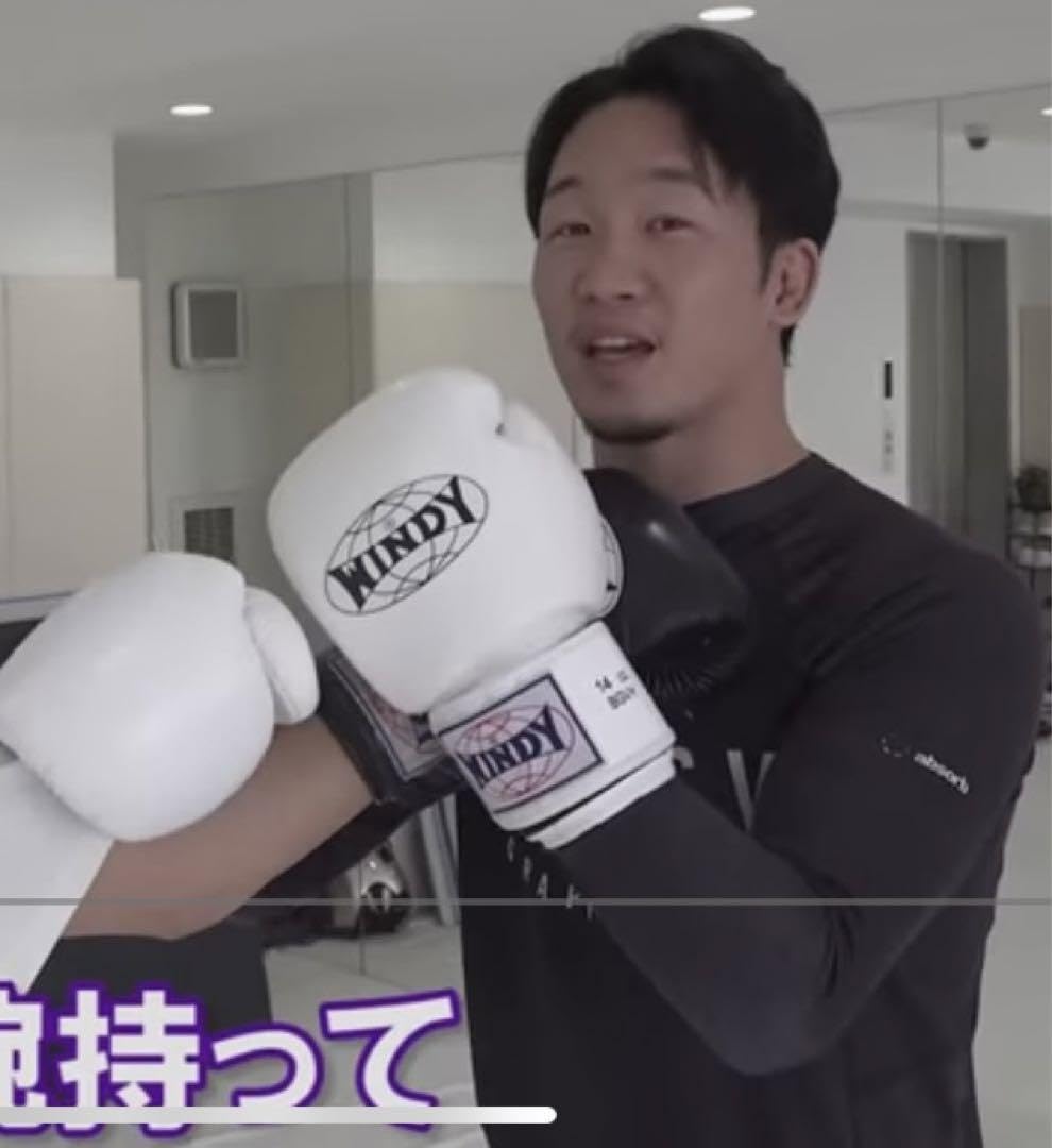 Amazon.co.jp: WINDY ボクシンググローブ BGVH 16オンス ホワイト