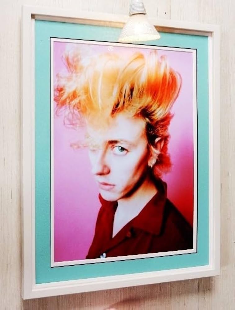 Amazon.co.jp: ブライアン セッツァー/初期アートピク額装/ストレイ