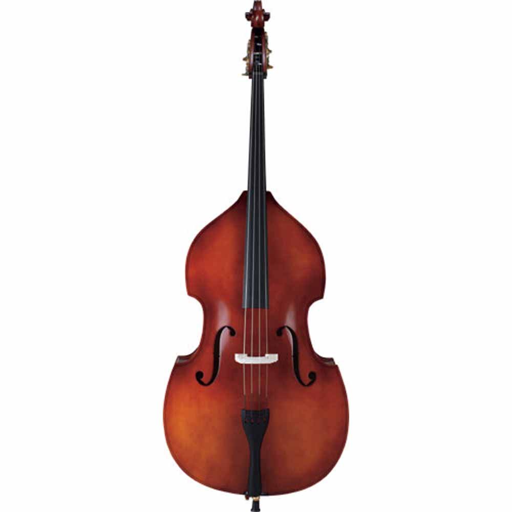 Amazon | Carlo giordano SB-150 コントラバスセット 4/4サイズ カルロ