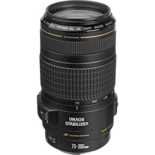 Amazon.co.jp: Canon EFレンズ EF70-300mm F4-5.6 IS USM ズームレンズ