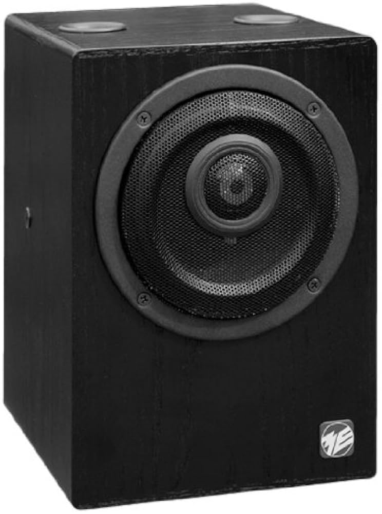 Amazon.co.jp: Musikelectronic Geithain RL906 ペア : 家電＆カメラ