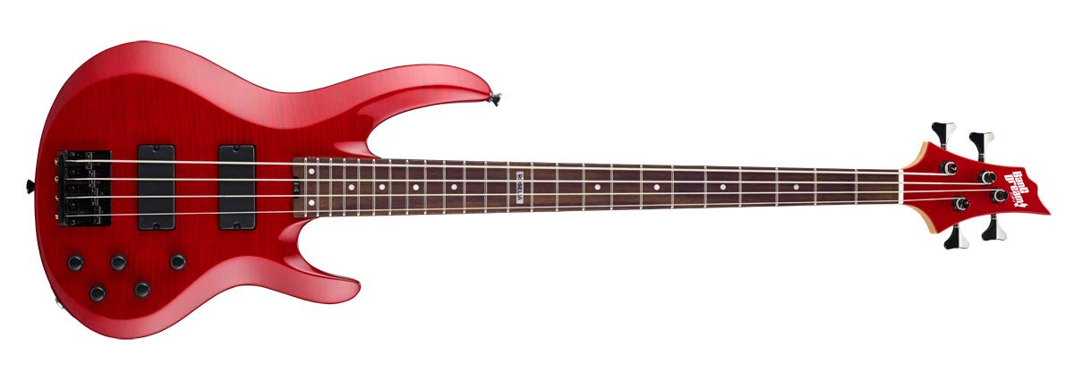 Amazon | ESP x バンドリ！ BTL LISA BanG Dream! Roselia 今井