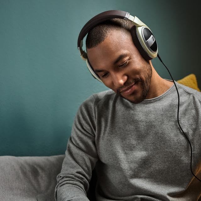 Amazon.co.jp: ゼンハイザー(Sennheiser) ヘッドホン 有線 HD 599 開放