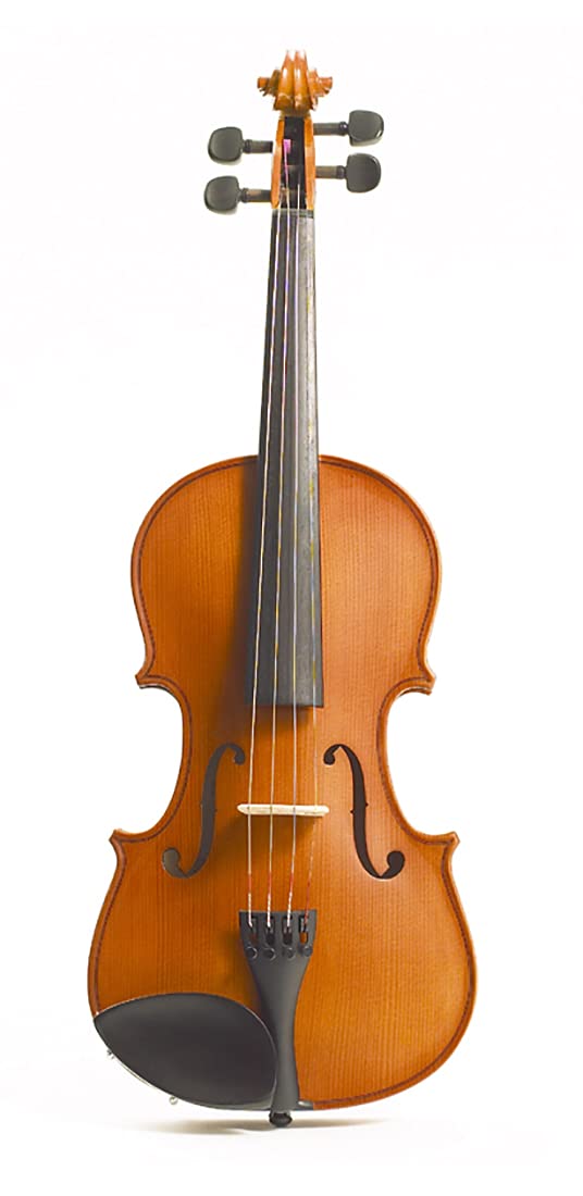 Amazon.com: Stentor, 4-String Violin (1560E) : Musical Instruments