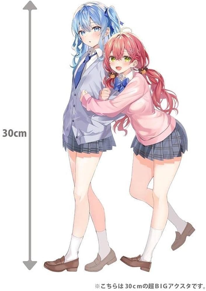 Amazon.co.jp: ホロ ライブ 星街すいせい さくらみこ みこめっと BIG