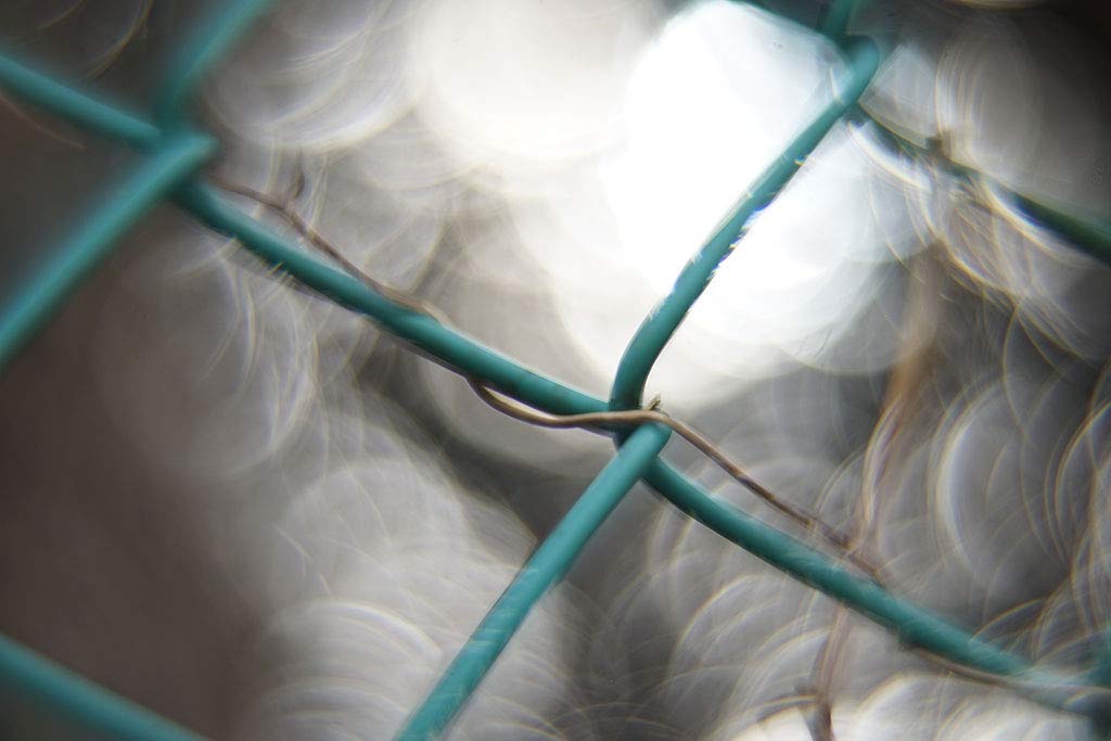 Amazon | ※当店KING-2オリジナル改造レンズ※【bokeh撮影専用】MC