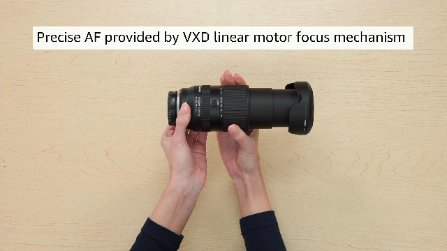 Amazon.com : Tamron 18-300mm F/3.5-6.3 Di III-A VC VXD for