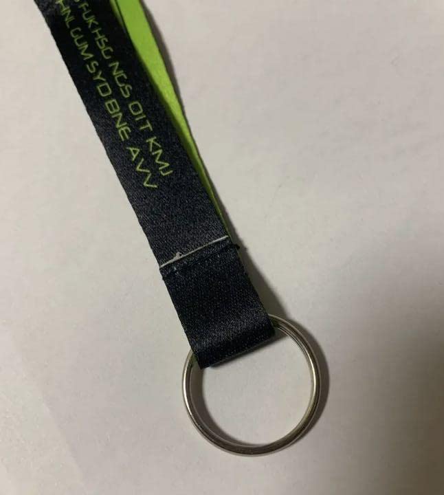 Amazon.co.jp: ANA ネックストラップ 767 30TH ANNIVERSARY : おもちゃ