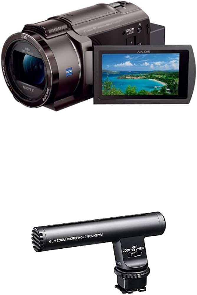 Amazon | SONY(ソニー) 【AX45A と マイク セット】 狙った音を