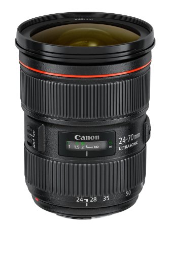 Amazon.com : Canon EF 24-70mm f/2.8L USM Standard Zoom Lens for