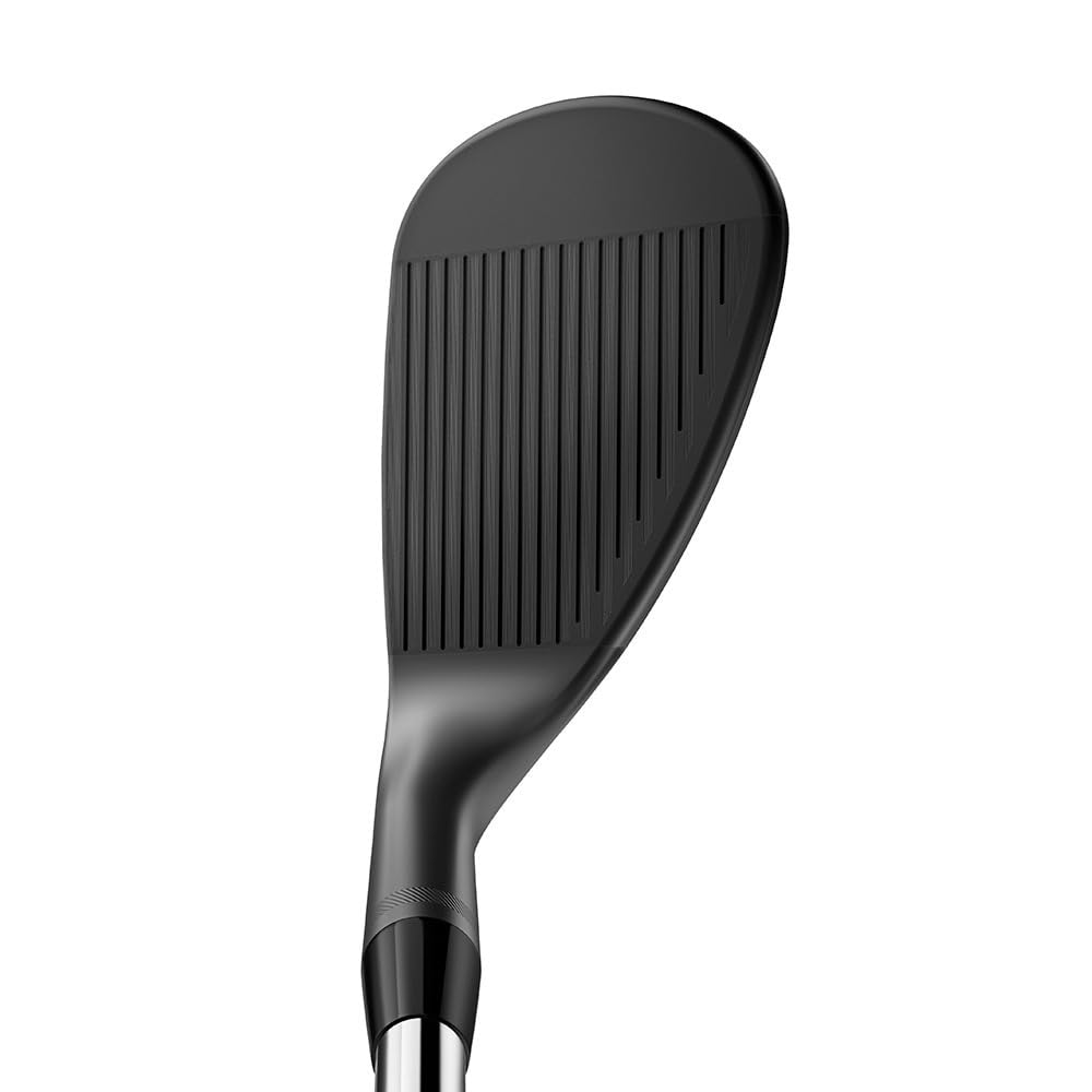 Amazon | タイトリスト(TITLEIST) Wedge Vokey SM10ジェットブラックDG