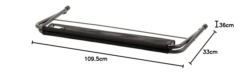 Amazon.co.jp: スノーピーク(snow peak) メッシュFDベンチ ブラック LV