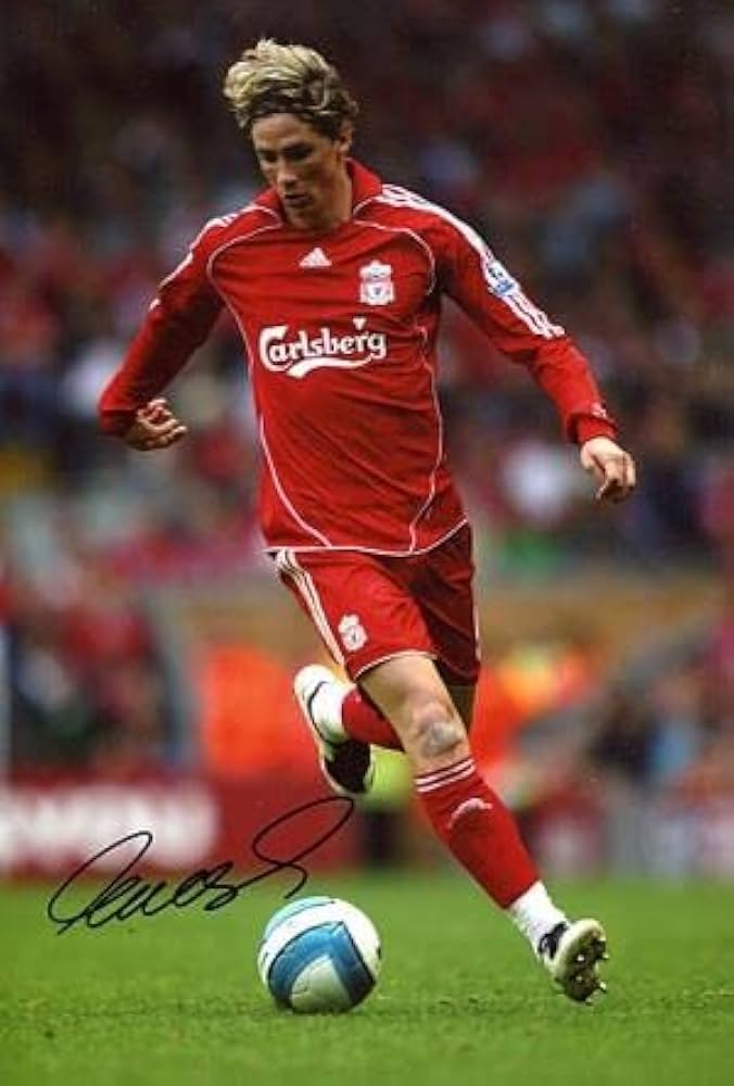 Amazon.co.jp: フェルナンドトーレス リバプール 直筆サイン フォト