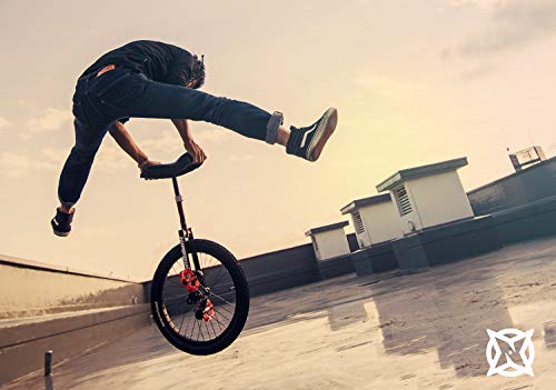 Amazon | ides ニンジャウィール 20インチ 一輪車 小学校高学年～大人