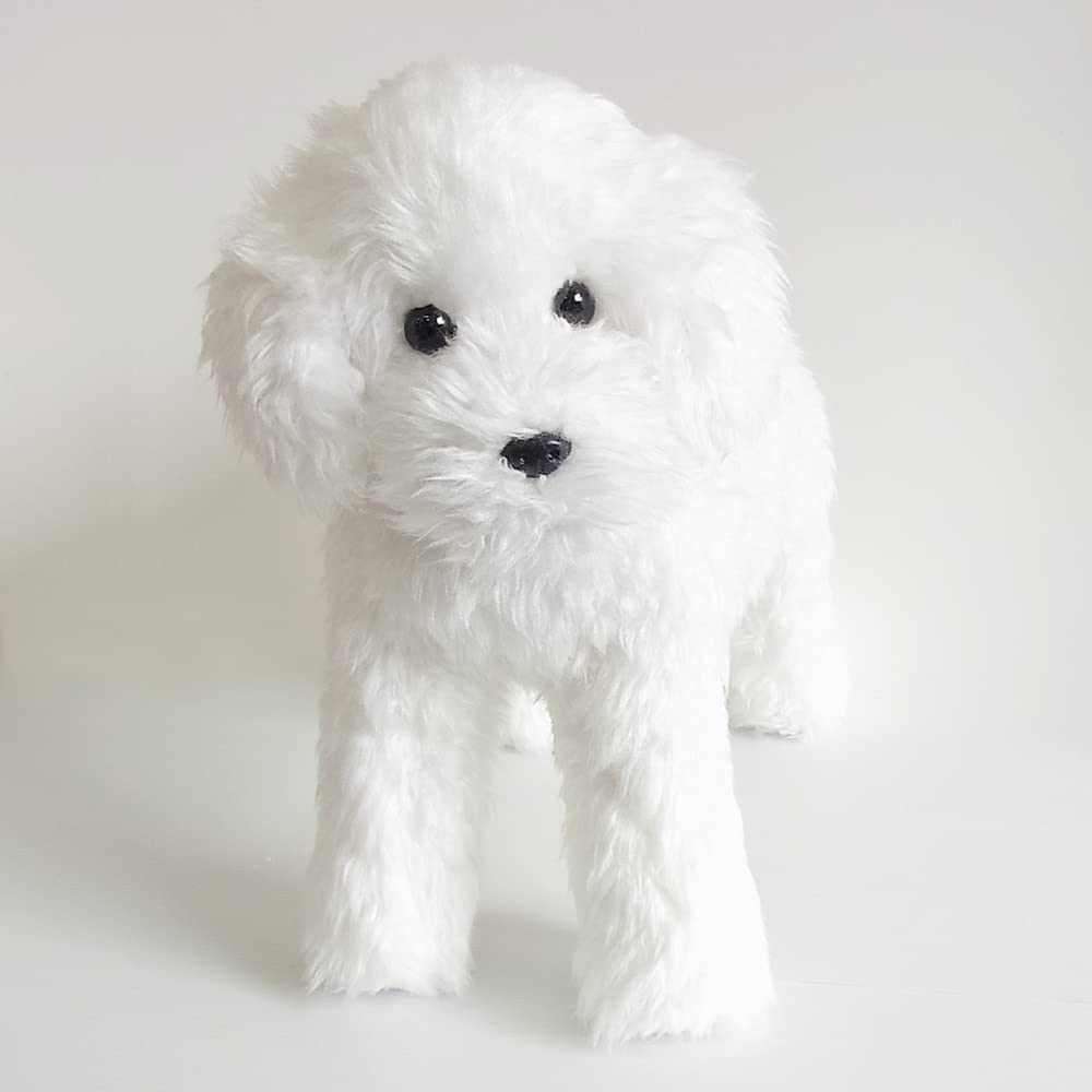 Amazon.co.jp: ニニアンドキノ ぬいぐるみ 犬 リアル トイプードル