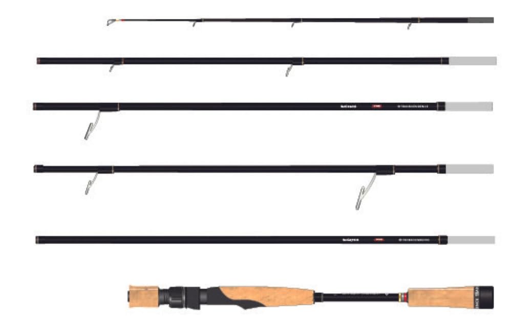 Amazon.co.jp: TRANSCENDENCE トランスセンデンス Botia ボティア60S+