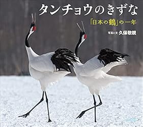 タンチョウのきずな ～「日本の鶴」の一年～（小学館の図鑑NEOの科学