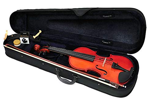 Amazon | PLAYTECH (プレイテック) バイオリン エントリーモデル 4/4