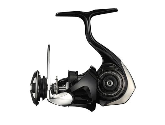 Amazon | SLPWORKS 24 CERTATE CUSTOM BODY LT4000-CXH-SLPW | SLP